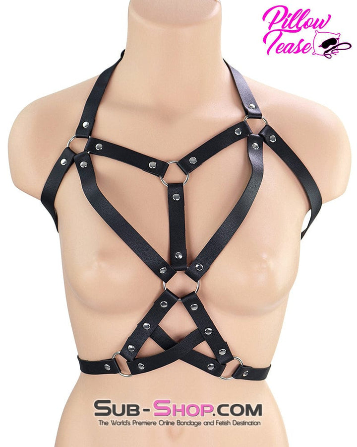 0355DL      Bondage Cage Female Chest Bondage Fashion Harness Breast Bondage   , Sub-Shop.com Bondage and Fetish Superstore