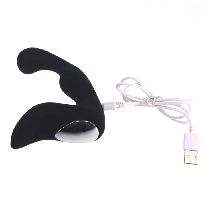 0513M 10 Function Rechargeable P-Spot Pleaser Waterproof Anal Vibe Prostate Stimulator , Sub-Shop.com Bondage and Fetish Superstore