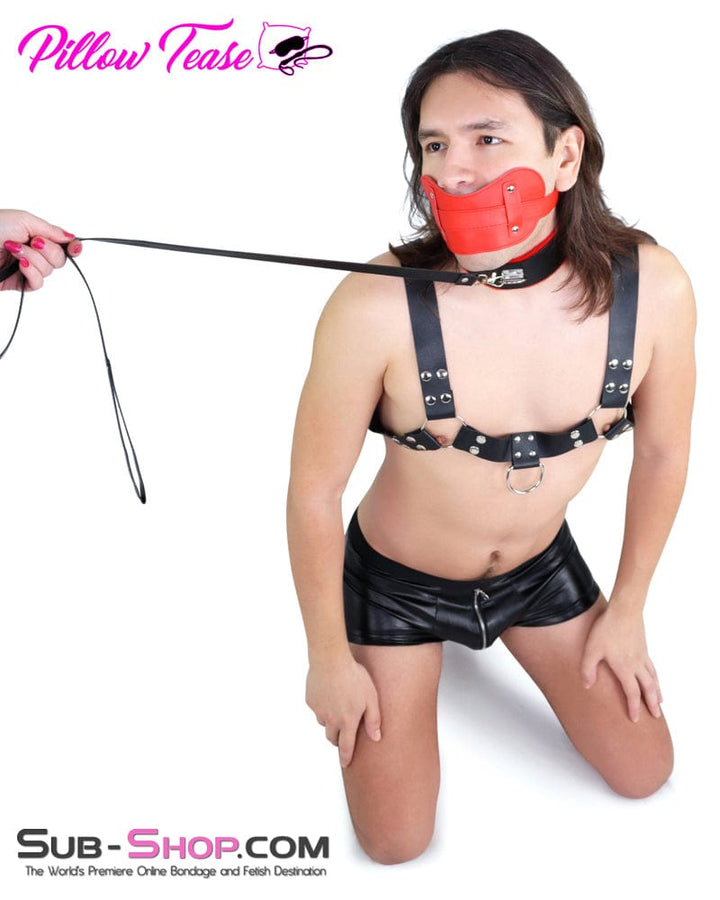 2479DL      Red Stuffed Plug Panel Style Bondage Gag Gags   , Sub-Shop.com Bondage and Fetish Superstore