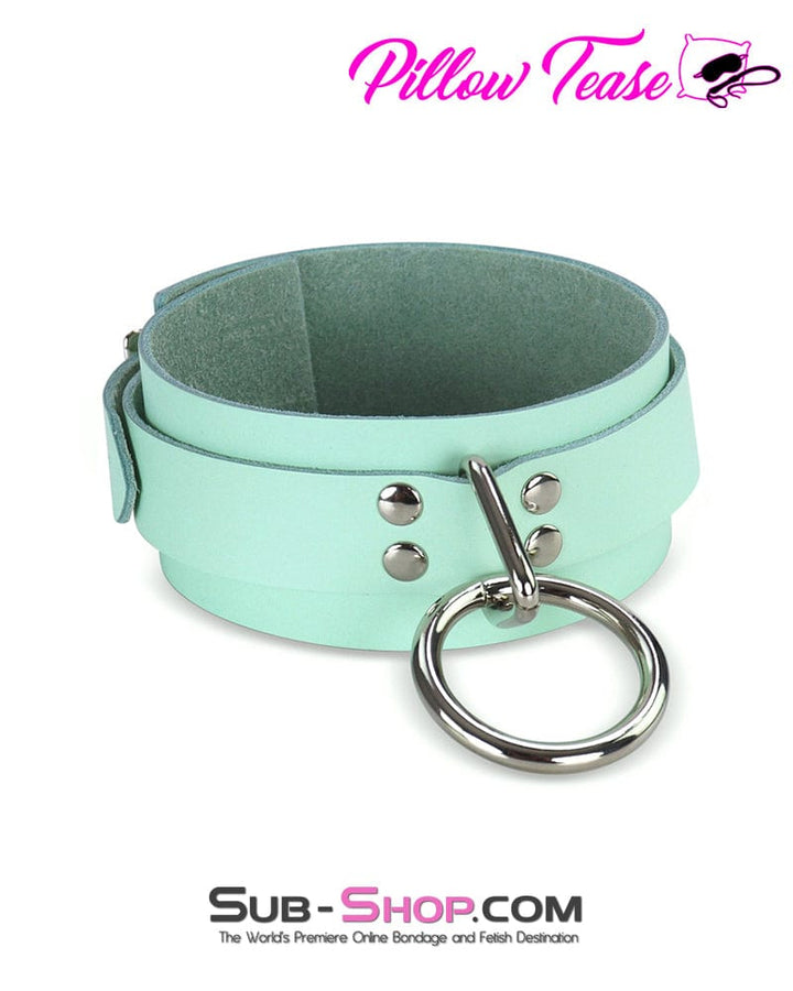 1398A      Retro Mint Leather Bondage Collar Collar   , Sub-Shop.com Bondage and Fetish Superstore