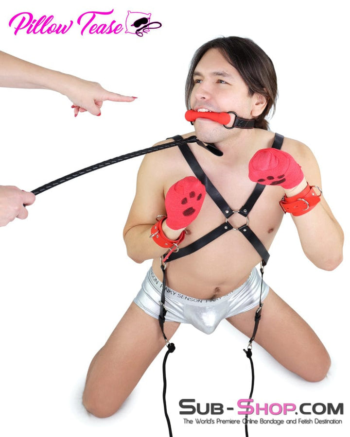 2792DL-SIS      Red Double D-Ring Wrist Submissive Sissy Bondage Cuffs Sissy   , Sub-Shop.com Bondage and Fetish Superstore