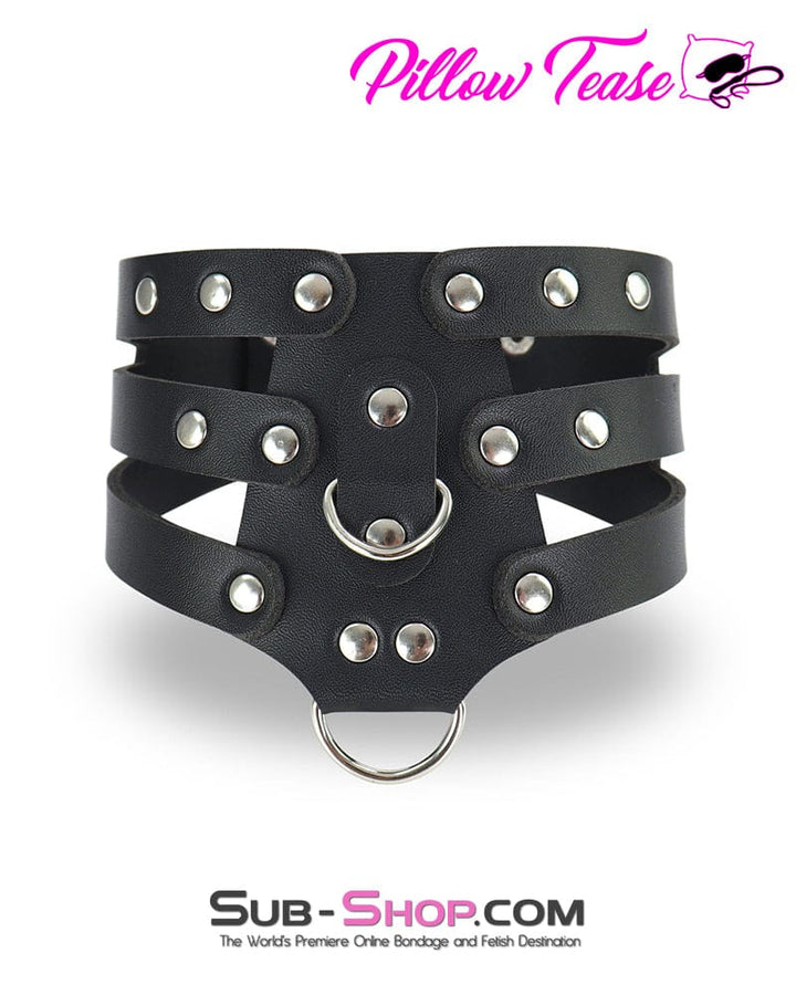 3300DL      Double D-Ring Strappy Bondage Posture Collar Collar   , Sub-Shop.com Bondage and Fetish Superstore