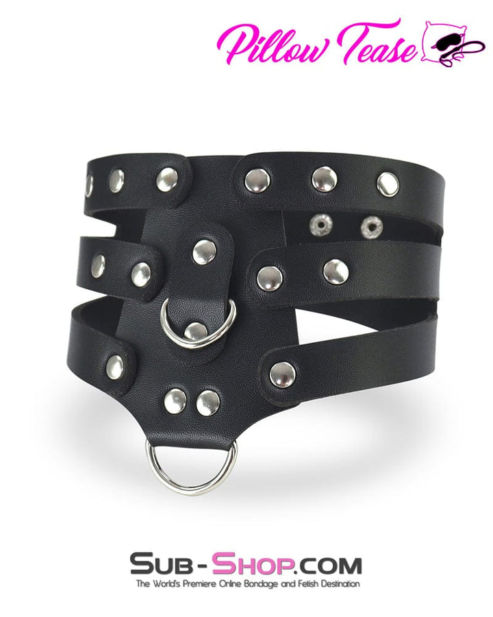 3300DL      Double D-Ring Strappy Bondage Posture Collar Collar   , Sub-Shop.com Bondage and Fetish Superstore