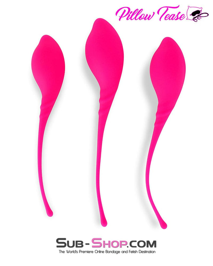 6813M      Lamboll Kegel 3 Sizes Vaginal Exerciser Set Medical Play   , Sub-Shop.com Bondage and Fetish Superstore