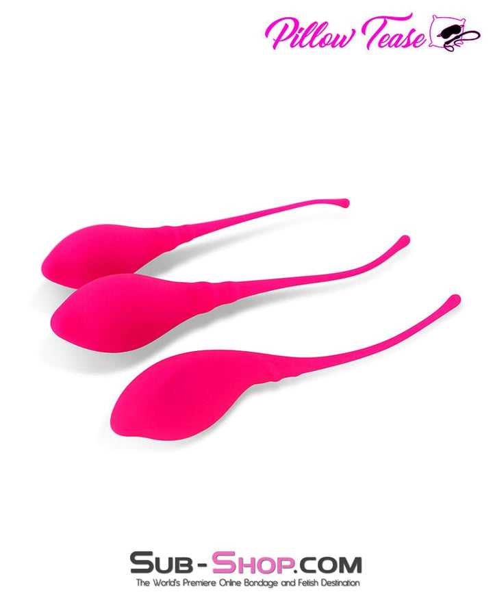 6813M      Lamboll Kegel 3 Sizes Vaginal Exerciser Set Medical Play   , Sub-Shop.com Bondage and Fetish Superstore