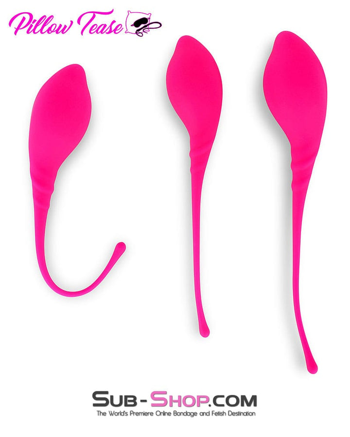 6813M      Lamboll Kegel 3 Sizes Vaginal Exerciser Set Medical Play   , Sub-Shop.com Bondage and Fetish Superstore