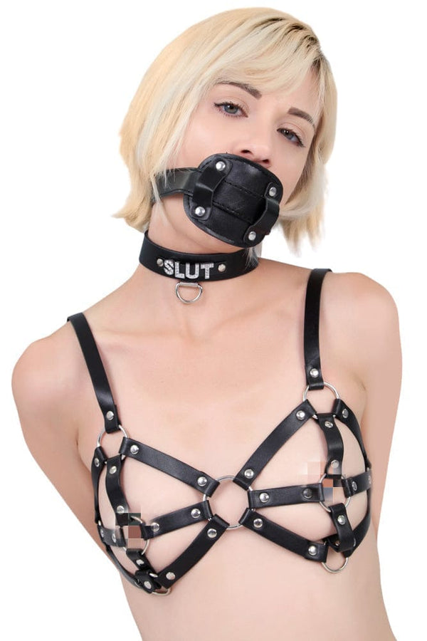 9897RS      Breast Cage Bondage Bra Breast Bondage   , Sub-Shop.com Bondage and Fetish Superstore