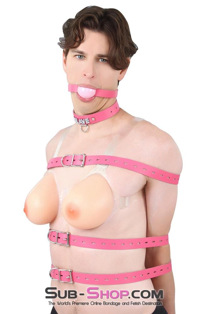 4787A-SIS      Locking Feminization Sissy Chastity Pretty Pink Sissy Leather Bondage Straps - 4 Sizes! Sissy   , Sub-Shop.com Bondage and Fetish Superstore