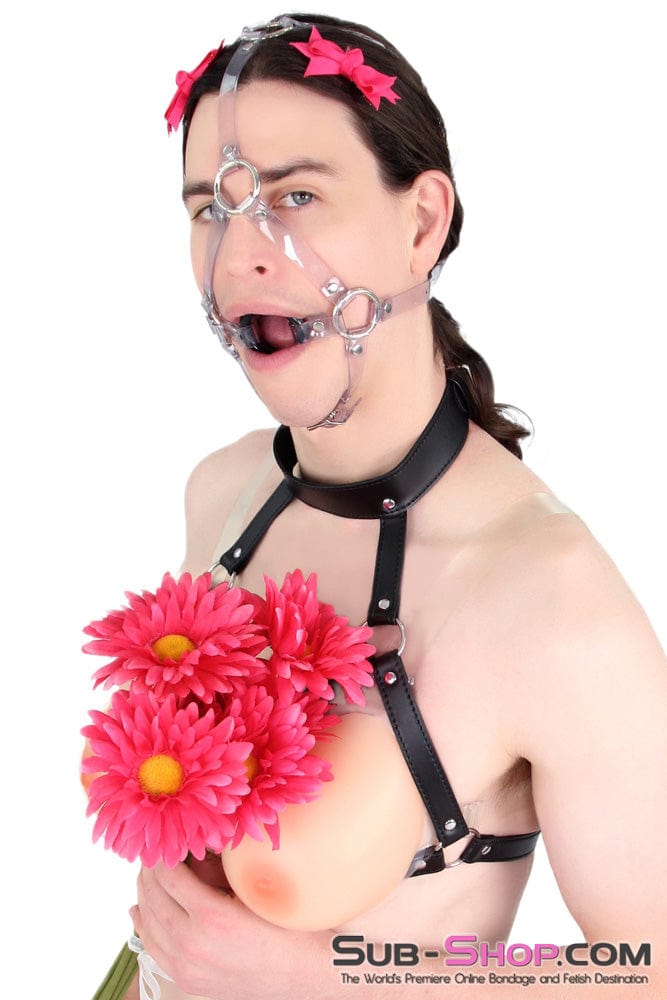 0481A-SIS      Pretty Sissy Slave Trainer Clearly Feminization Bound Sturdy Ring Gag Trainer Sissy   , Sub-Shop.com Bondage and Fetish Superstore