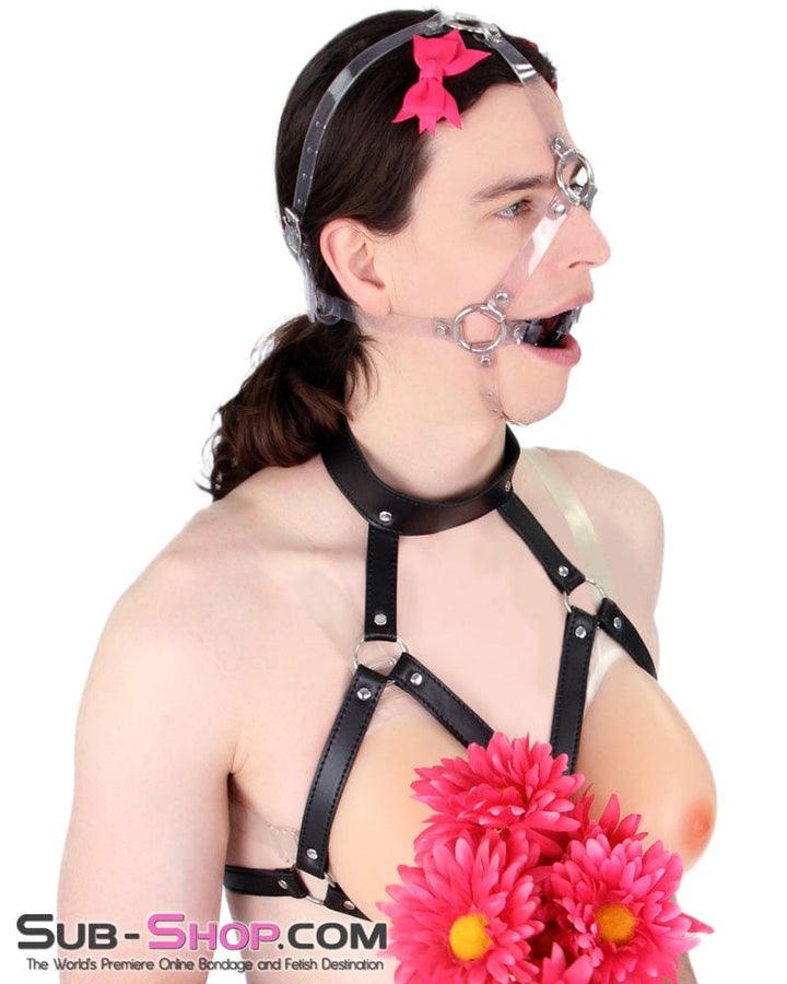 0481A-SIS      Pretty Sissy Slave Trainer Clearly Feminization Bound Sturdy Ring Gag Trainer Sissy   , Sub-Shop.com Bondage and Fetish Superstore