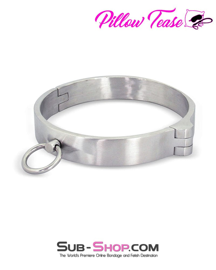 0579AR      Stainless Steel Key Locking Bondage Slave Collar Collar   , Sub-Shop.com Bondage and Fetish Superstore