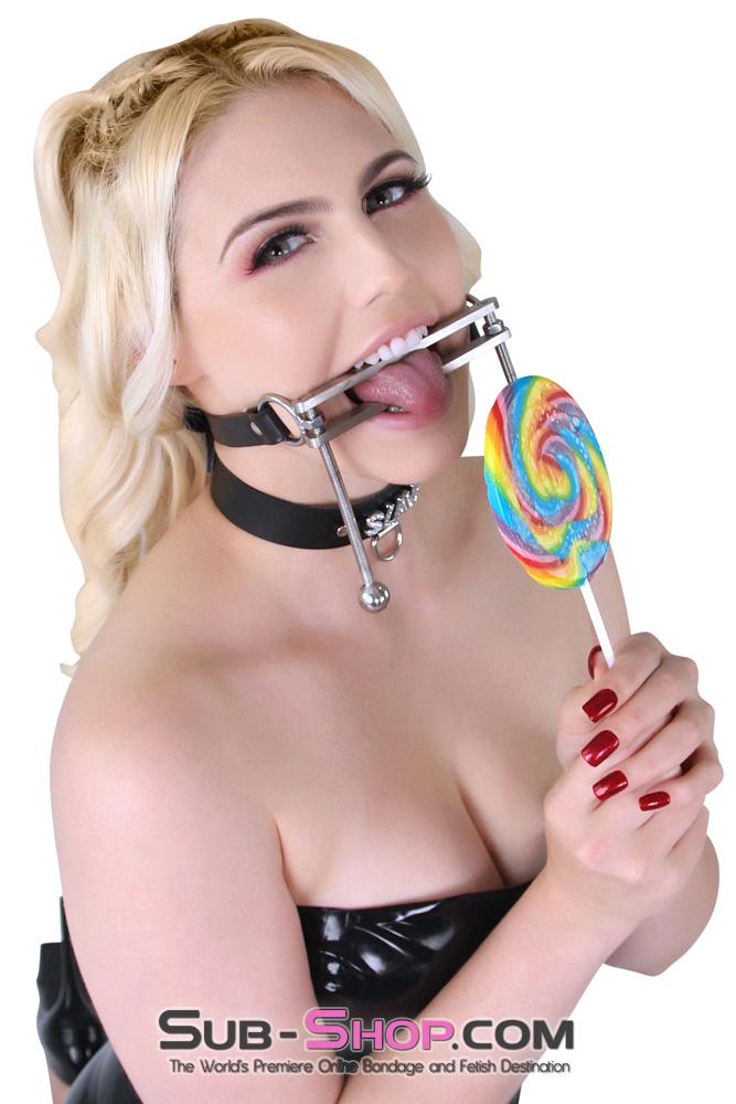 1323M      Tongue Flail Stainless Steel Locking Open Mouth Tongue Trap Gag Gags   , Sub-Shop.com Bondage and Fetish Superstore