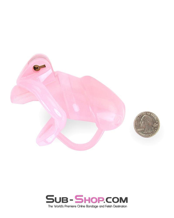 1358AR      Sissy Cock Blocker Silicone Tease and Torment Locking Male Chastity with Ball Divider Chastity   , Sub-Shop.com Bondage and Fetish Superstore