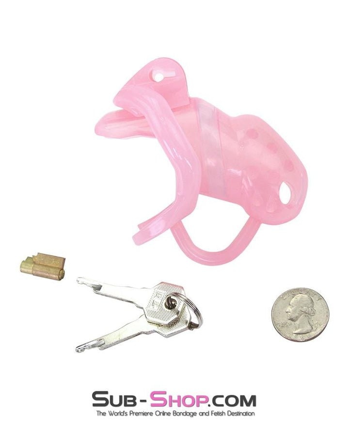 1391AR      Spiked Sissy Cock Blocker Silicone Locking Male Chastity with Ball Divider - MEGA Deal MEGA Deal   , Sub-Shop.com Bondage and Fetish Superstore