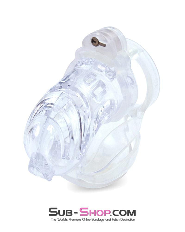 1414AR      The Vortex Clear Full Cock and Ball Enclosure High Security Locking Cock Tease Cage Chastity Chastity   , Sub-Shop.com Bondage and Fetish Superstore