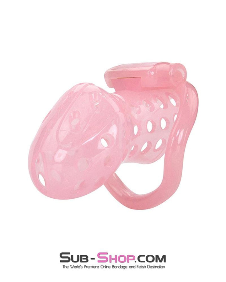 1432AR      Sissy Boy Toy Pink High Security Pin Tumbler Locking Cock Cage Chastity Chastity   , Sub-Shop.com Bondage and Fetish Superstore