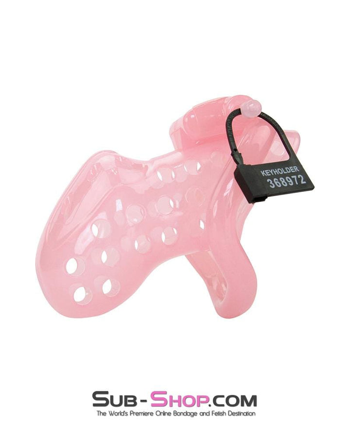 1432AR      Sissy Boy Toy Pink High Security Pin Tumbler Locking Cock Cage Chastity Chastity   , Sub-Shop.com Bondage and Fetish Superstore