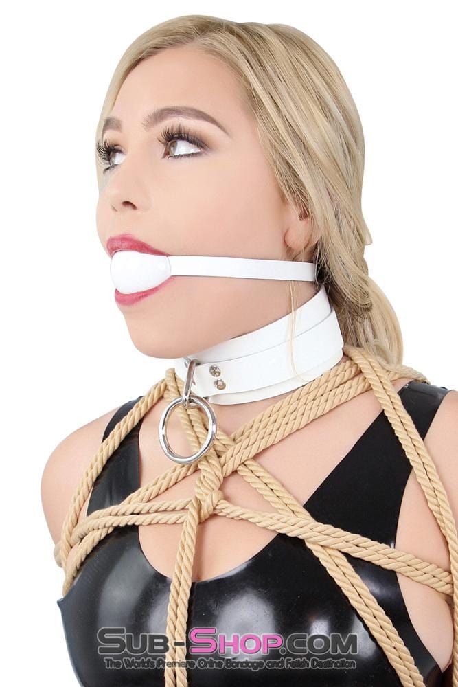 3667A      Pure Submission Locking Leather Collar Collar   , Sub-Shop.com Bondage and Fetish Superstore