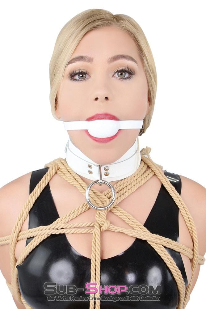 3667A      Pure Submission Locking Leather Collar Collar   , Sub-Shop.com Bondage and Fetish Superstore