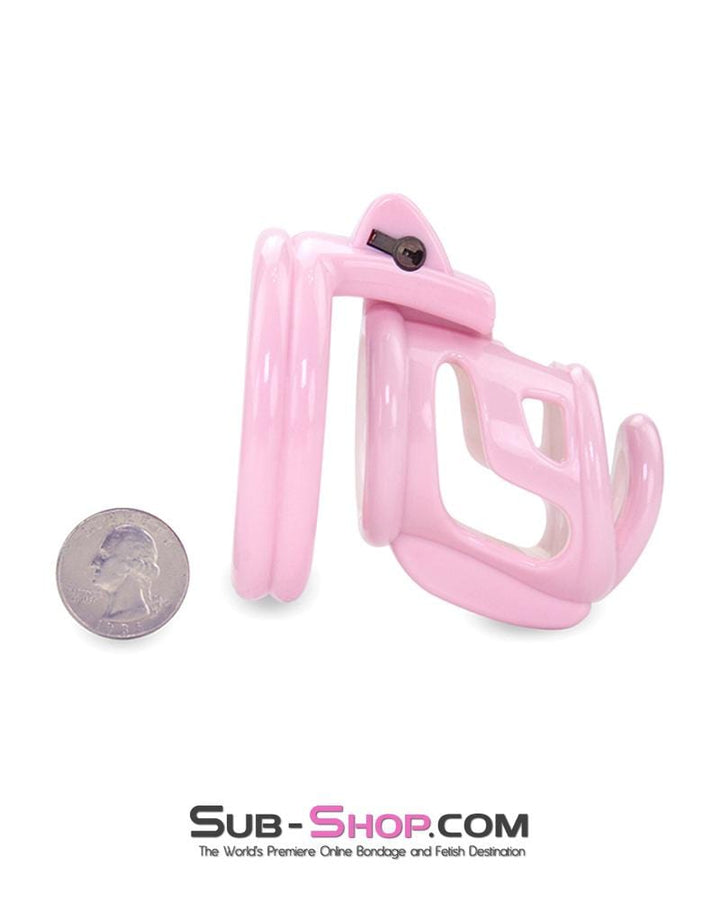 1561AR      Pretty Boy Pink Sissy High Security Male Chastity Device Chastity   , Sub-Shop.com Bondage and Fetish Superstore