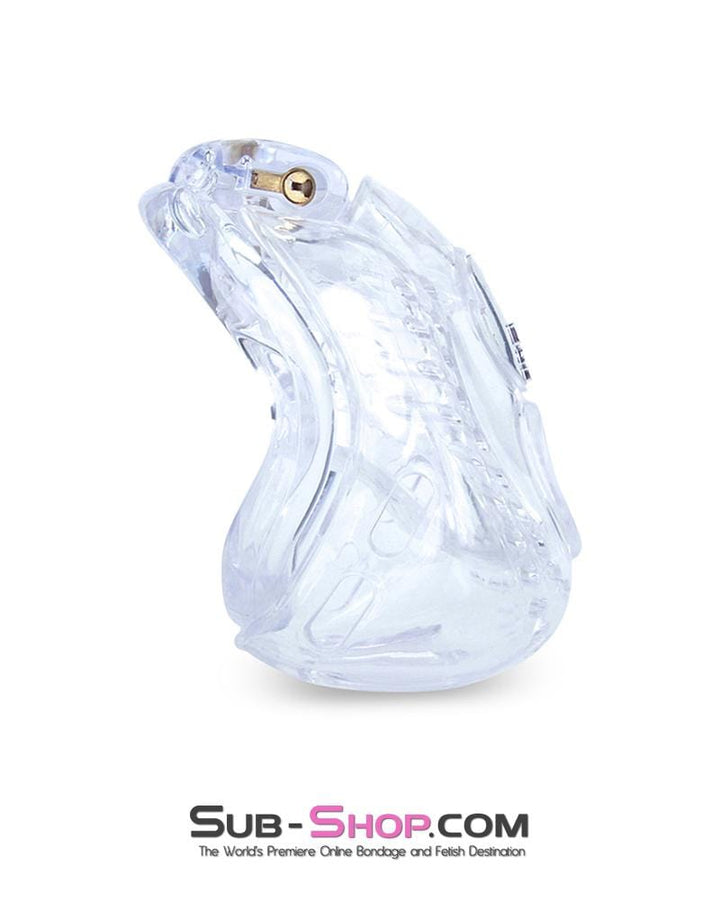 1583AR      Small Dungeon Cage Clear High Security Full Coverage Male Chastity Device - MEGA Deal MEGA Deal   , Sub-Shop.com Bondage and Fetish Superstore