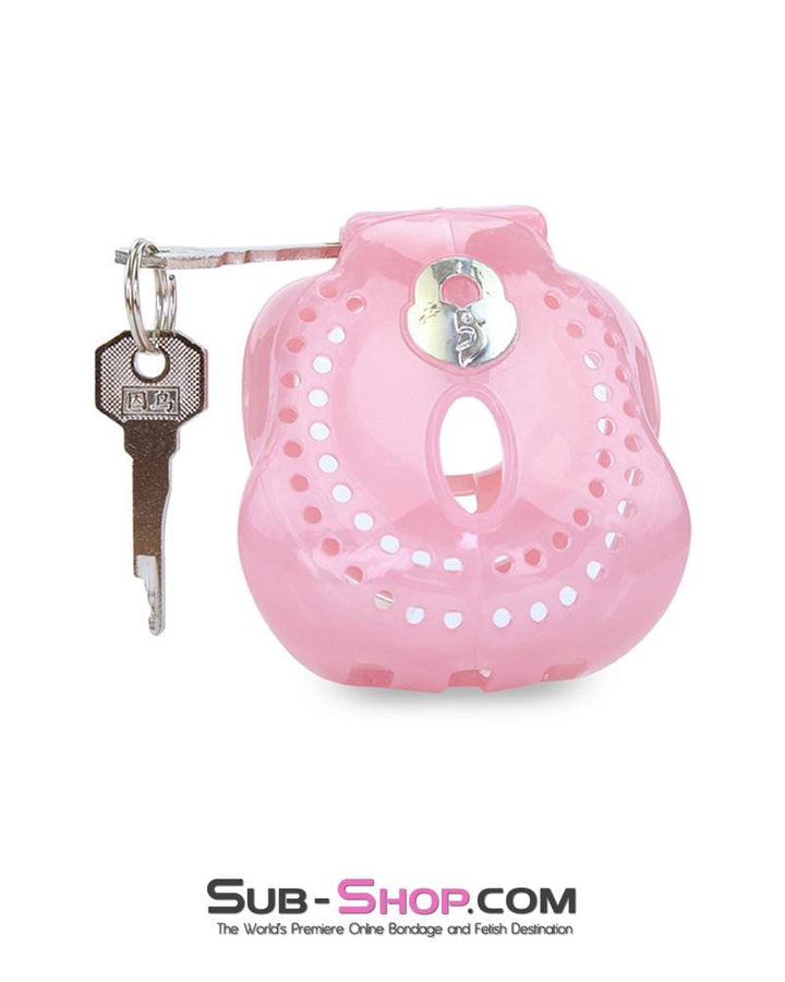 1587AR      Small Sissy Dungeon Cage Pink High Security Full Coverage Male Chastity Device Chastity   , Sub-Shop.com Bondage and Fetish Superstore