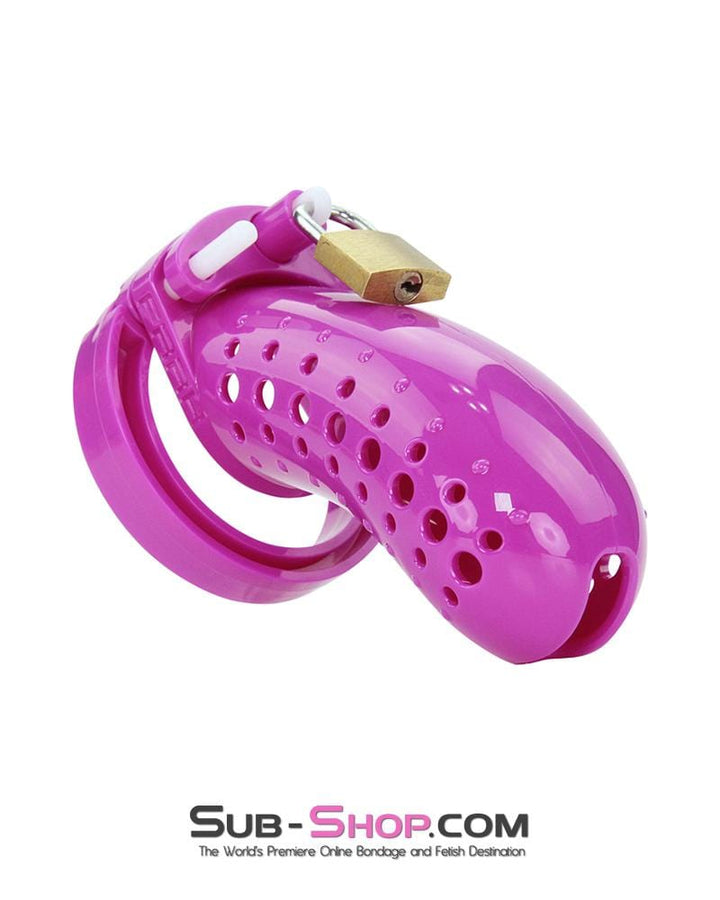 1603AR      The Stockade Purple Cage Male Chastity Device - MEGA Deal MEGA Deal   , Sub-Shop.com Bondage and Fetish Superstore