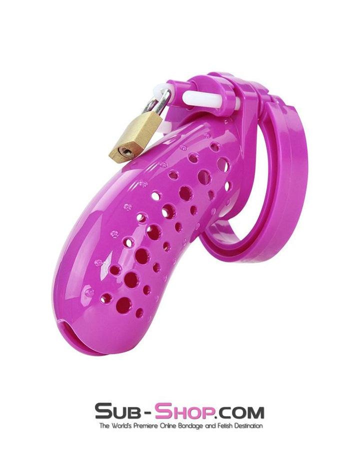 1603AR      The Stockade Purple Cage Male Chastity Device - MEGA Deal MEGA Deal   , Sub-Shop.com Bondage and Fetish Superstore