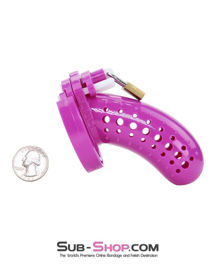 1603AR      The Stockade Purple Cage Male Chastity Device - MEGA Deal MEGA Deal   , Sub-Shop.com Bondage and Fetish Superstore