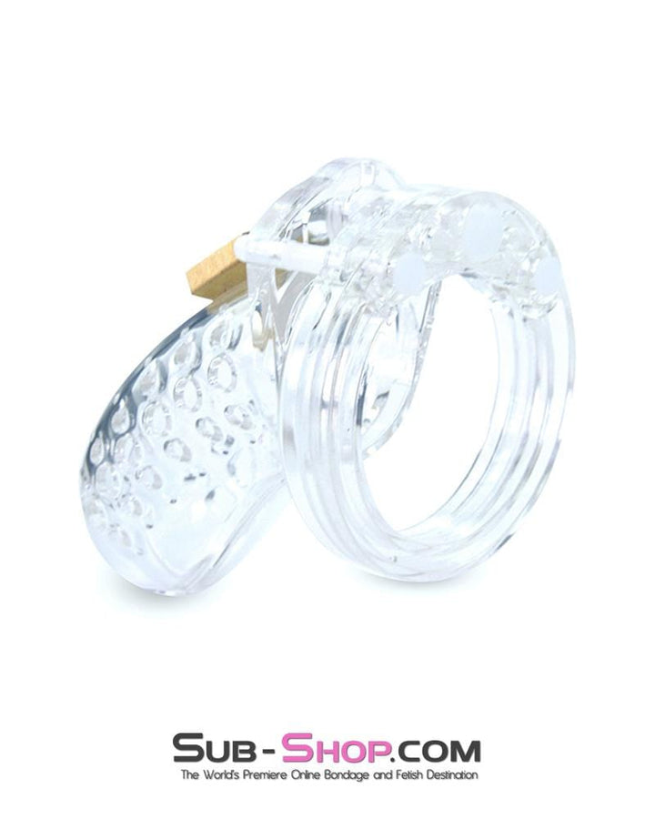 1623AR      Short Stockade Clear Cage Male Chastity Device Chastity   , Sub-Shop.com Bondage and Fetish Superstore