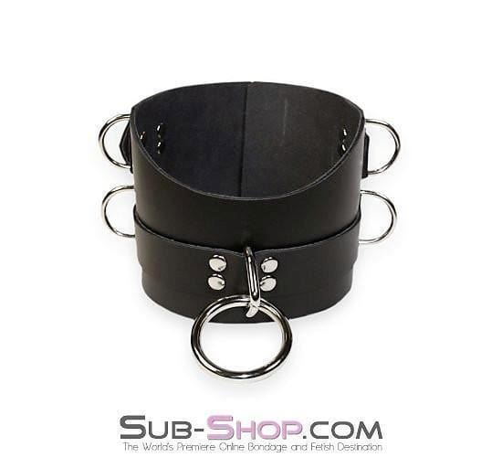 1630A      Total Control 4" Leather Posture Collar Collar   , Sub-Shop.com Bondage and Fetish Superstore