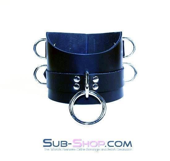 1630A      Total Control 4" Leather Posture Collar Collar   , Sub-Shop.com Bondage and Fetish Superstore