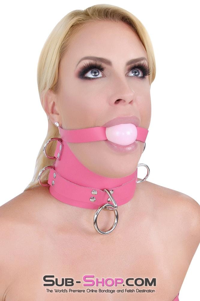 2541A      Hot Pink Classic Leather Ball Gag Strap, Candy Pop Pink Ball Gags   , Sub-Shop.com Bondage and Fetish Superstore