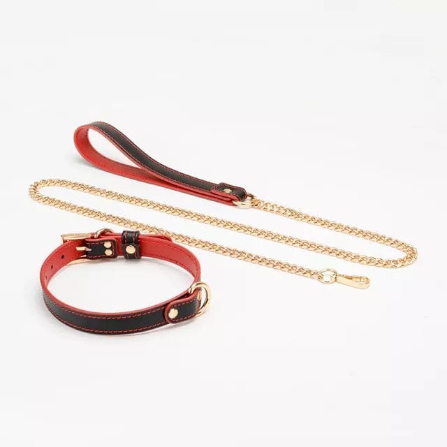 1662DL      Black and Red Slimline Collar with Gold Hardware and Leash Collar   , Sub-Shop.com Bondage and Fetish Superstore