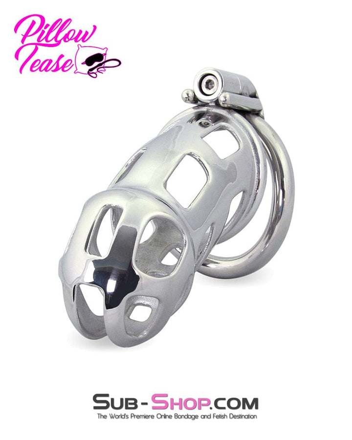 1691AR      Long Teasing Night Steel Male Chastity Cage Device Chastity   , Sub-Shop.com Bondage and Fetish Superstore