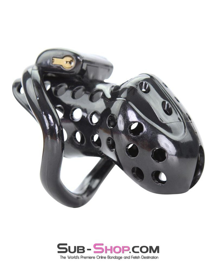 1722AR      Boy Toy Black High Security Pin Tumbler Locking Cock Cage Chastity Chastity   , Sub-Shop.com Bondage and Fetish Superstore