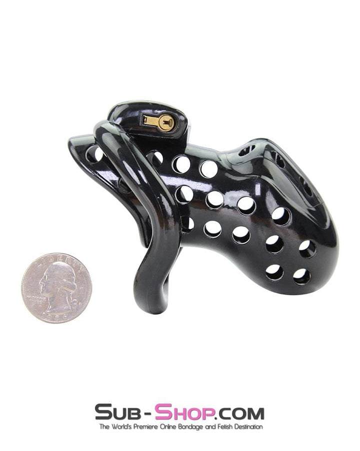 1722AR      Boy Toy Black High Security Pin Tumbler Locking Cock Cage Chastity Chastity   , Sub-Shop.com Bondage and Fetish Superstore