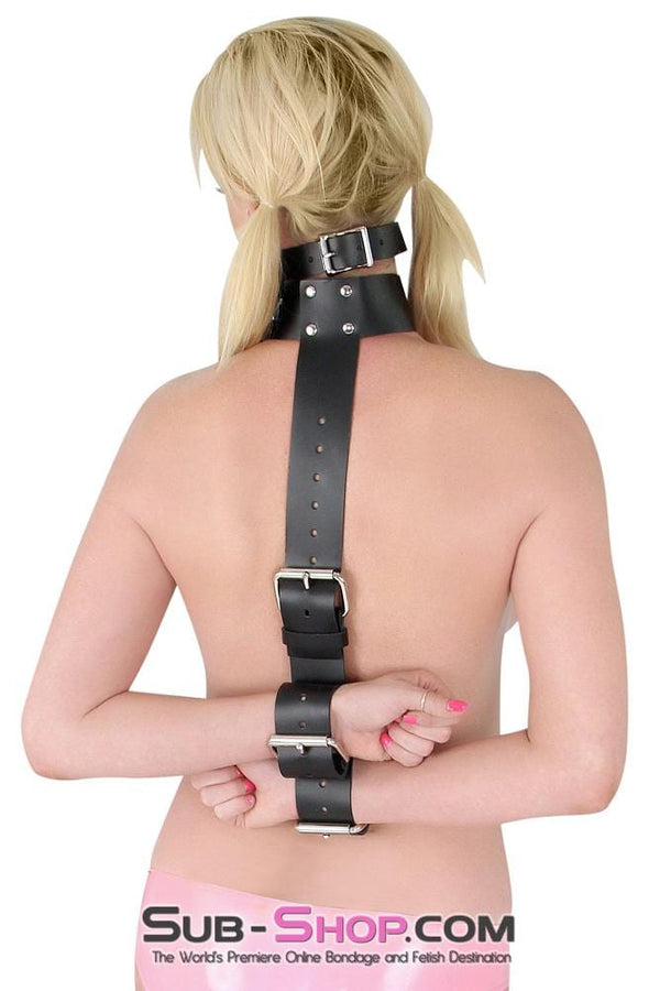 1741A-BLK      2" Collar to Wrist Restraint, Black Leather - LAST CHANCE - Final Closeout! MEGA Deal   , Sub-Shop.com Bondage and Fetish Superstore