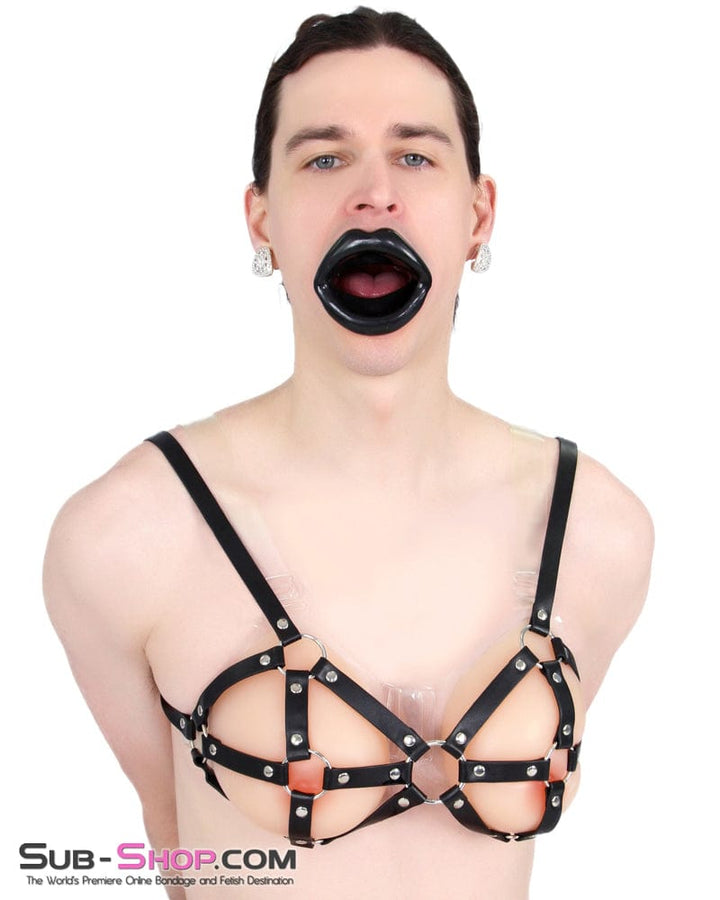 9897RS-SIS      Breast Cage Sissy Bondage Bra Sissy   , Sub-Shop.com Bondage and Fetish Superstore