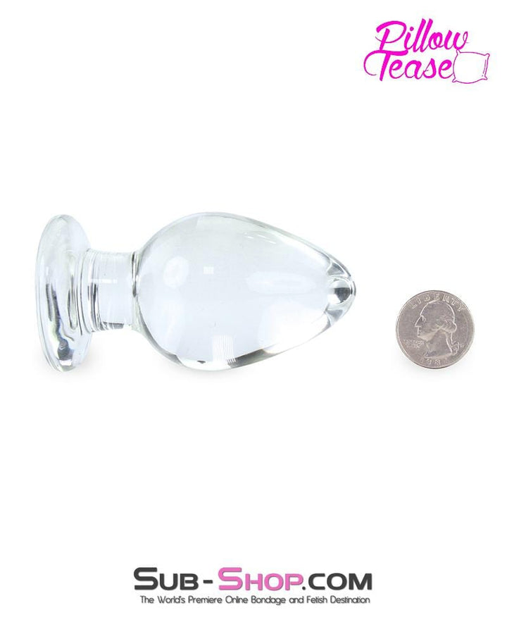 0190E      Large Glass Anal Plug Butt Plug   , Sub-Shop.com Bondage and Fetish Superstore