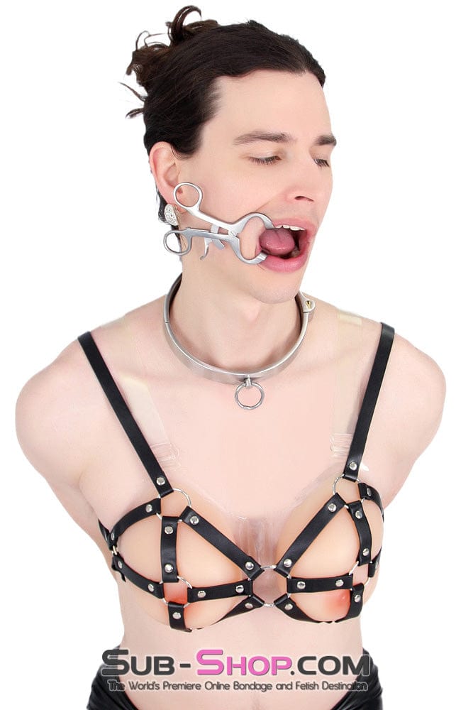 0634AR-SIS      Stainless Steel Lock Domme and Keys Sissy Boi Bondage Slave Collar Sissy   , Sub-Shop.com Bondage and Fetish Superstore