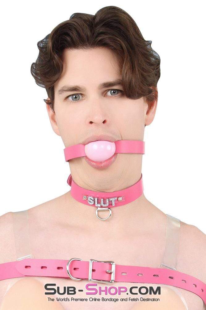 2541A-SIS      Sissy Boi Bitch Hot Pink Classic Leather Ball Gag Dominant Woman Strap, Candy Pop Pink Ball Sissy   , Sub-Shop.com Bondage and Fetish Superstore