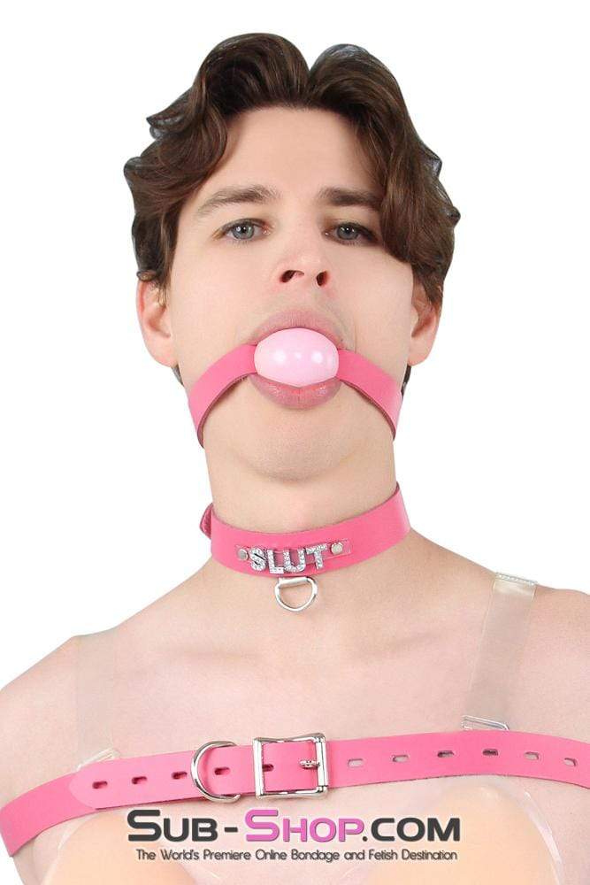 2541A-SIS      Sissy Boi Bitch Hot Pink Classic Leather Ball Gag Dominant Woman Strap, Candy Pop Pink Ball Sissy   , Sub-Shop.com Bondage and Fetish Superstore