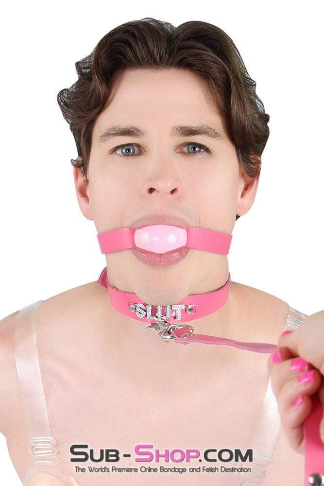 2541A-SIS      Sissy Boi Bitch Hot Pink Classic Leather Ball Gag Dominant Woman Strap, Candy Pop Pink Ball Sissy   , Sub-Shop.com Bondage and Fetish Superstore