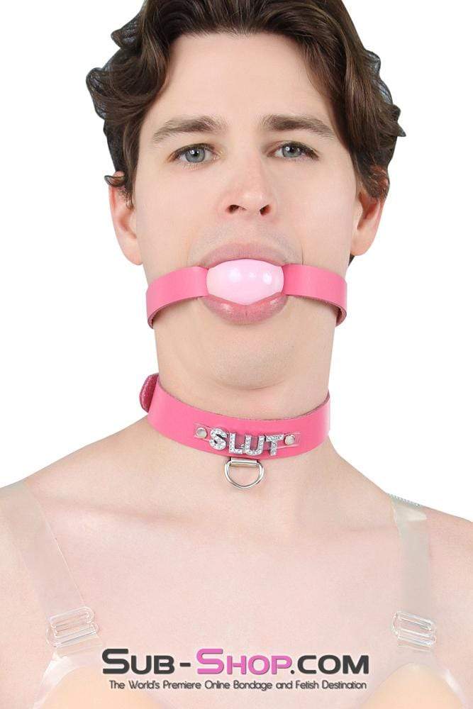 2541A-SIS      Sissy Boi Bitch Hot Pink Classic Leather Ball Gag Dominant Woman Strap, Candy Pop Pink Ball Sissy   , Sub-Shop.com Bondage and Fetish Superstore