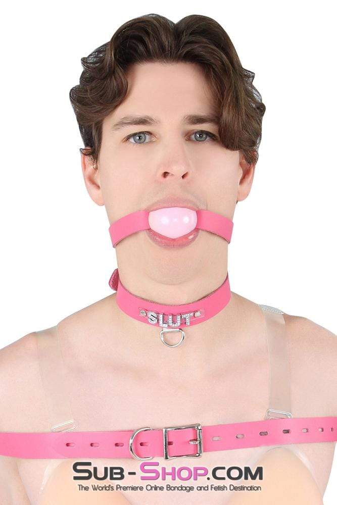 2541A-SIS      Sissy Boi Bitch Hot Pink Classic Leather Ball Gag Dominant Woman Strap, Candy Pop Pink Ball Sissy   , Sub-Shop.com Bondage and Fetish Superstore