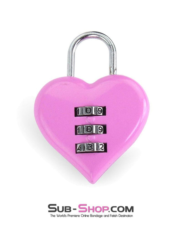 3307M-SIS      Pretty Sissy Pink Heart Accessories Combination Bondage Gear Fetish Mistress Lock Sissy   , Sub-Shop.com Bondage and Fetish Superstore