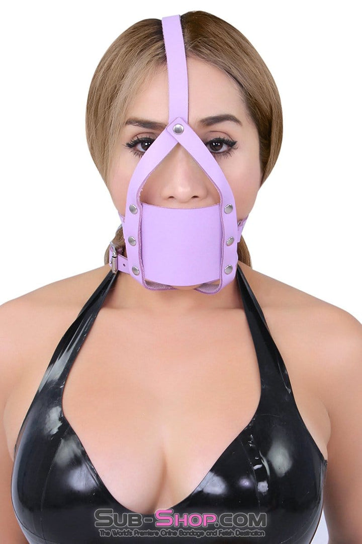 3428A      Purple Silencer Panel Style Ballgag Trainer Gags   , Sub-Shop.com Bondage and Fetish Superstore