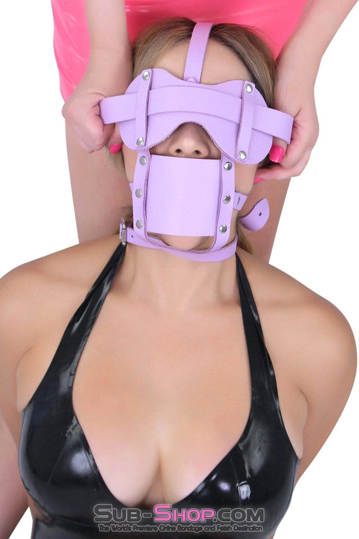 3428A      Purple Silencer Panel Style Ballgag Trainer Gags   , Sub-Shop.com Bondage and Fetish Superstore