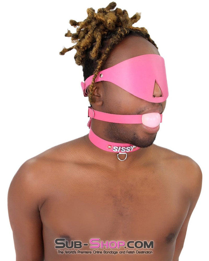 7176A-SIS      SISSY Man Boi Hussy Hot Pink Feminization Leather Rhinestone Letter Collar Sissy   , Sub-Shop.com Bondage and Fetish Superstore